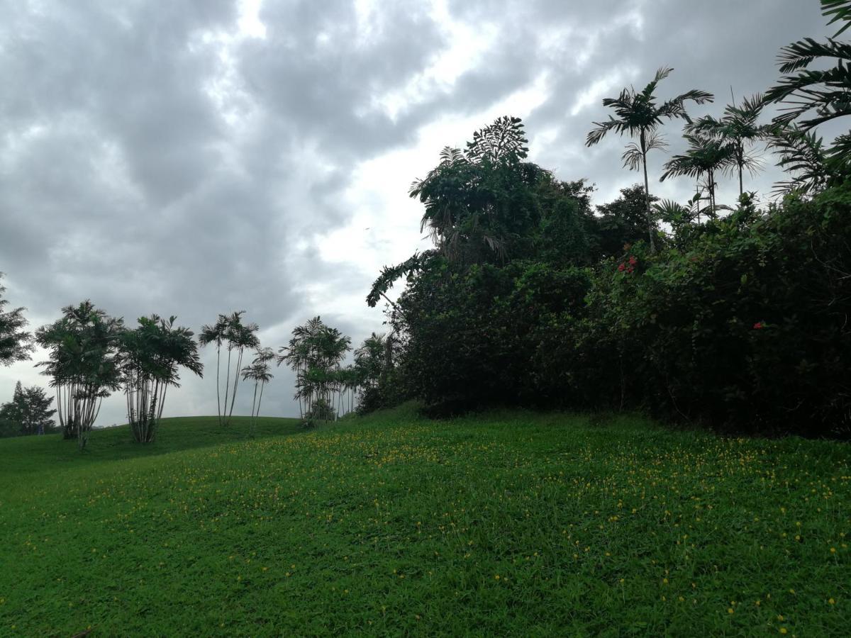 Fuxi Fruit Garden Villa Langkawi 富囍休闲度假水果园别墅兰卡威 Kuah Luaran gambar